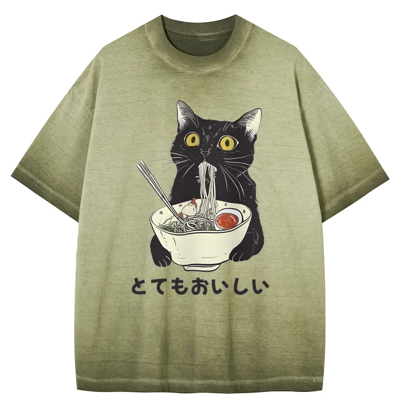 Tokyo-Tiger Cats Eat Ramen Noodles Gradient Washed T-Shirt