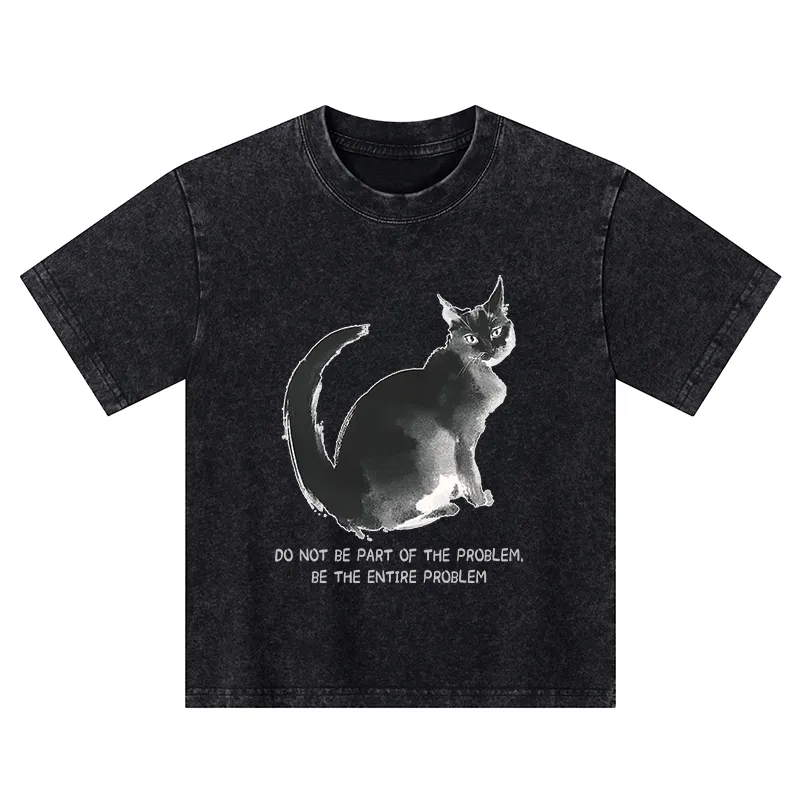 Tokyo-Tiger Funny Cat Be The Entire Problem Kids Washed T-Shirt