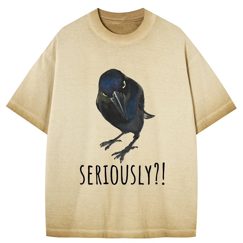 Tokyo-Tiger Raven's Question Gradient Washed T-Shirt