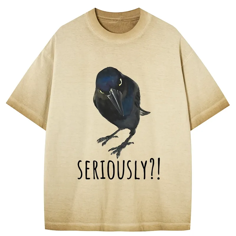 Tokyo-Tiger Raven's Question Gradient Washed T-Shirt