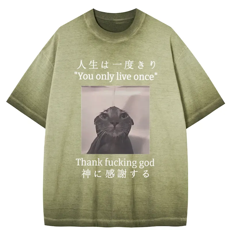 Tokyo-Tiger Funny Melancholy Cat Gradient Washed T-Shirt