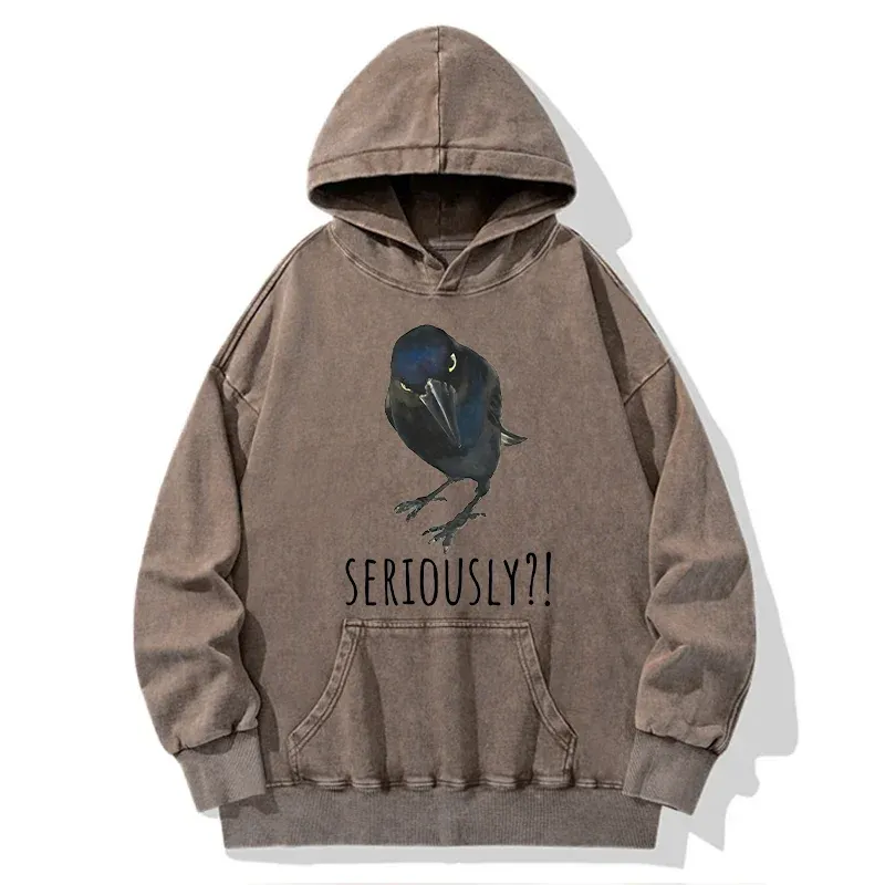 Tokyo-Tiger Raven's Question Washed Hoodie