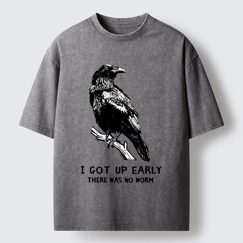 Tokyo-Tiger Early Raven Meme Washed T-Shirt
