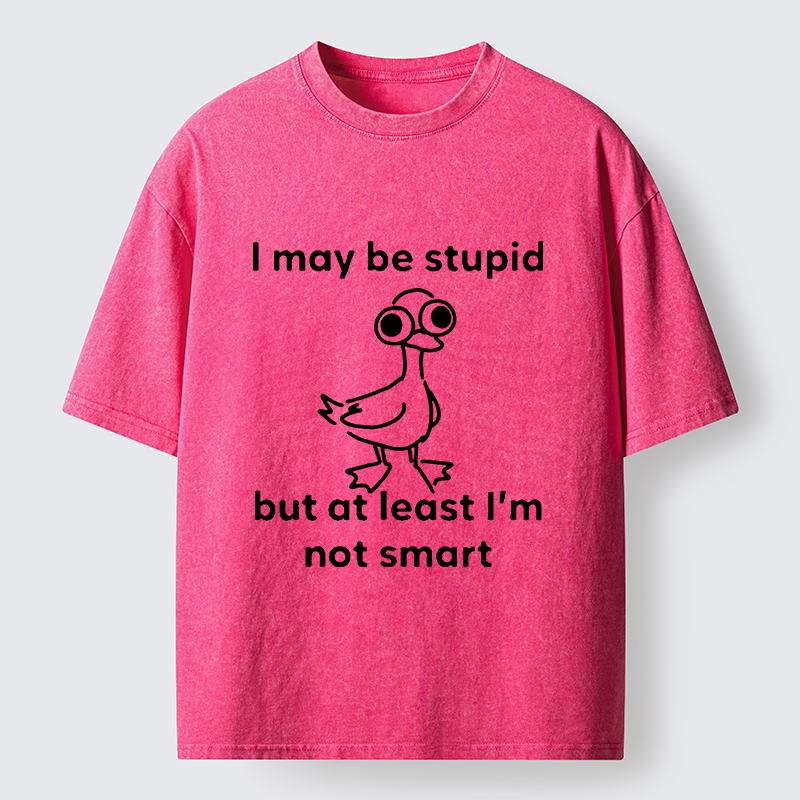 Tokyo‑Tiger Silly Duck Meme Washed T‑Shirt