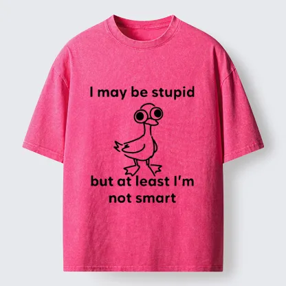 Tokyo‑Tiger Silly Duck Meme Washed T‑Shirt