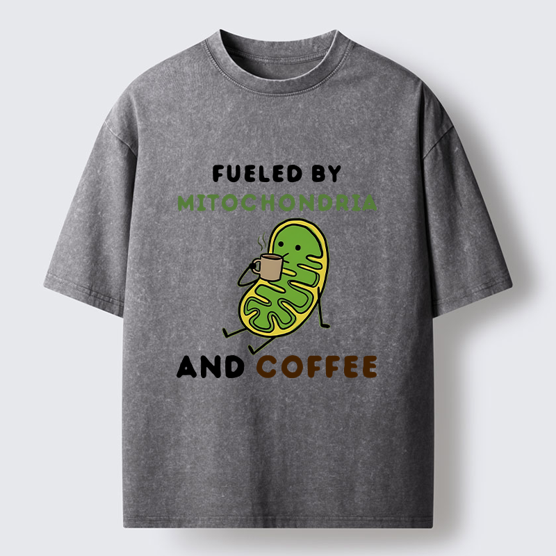 Tokyo-Tiger Two Sources Energy Funny Meme Washed T-Shirt