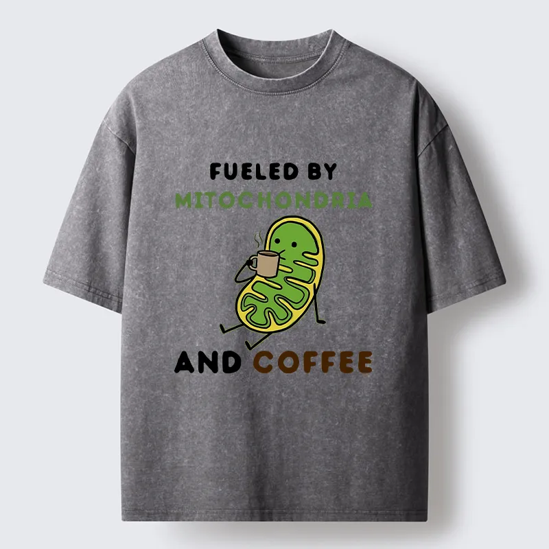Tokyo‑Tiger Two Sources Energy Funny Meme Washed T‑Shirt Sale