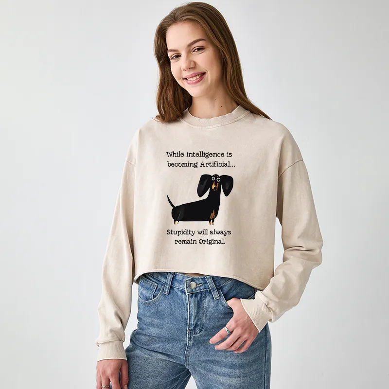 Tokyo-Tiger Dachshund Real Humor Funny Meme Washed Crop Sweatshirt