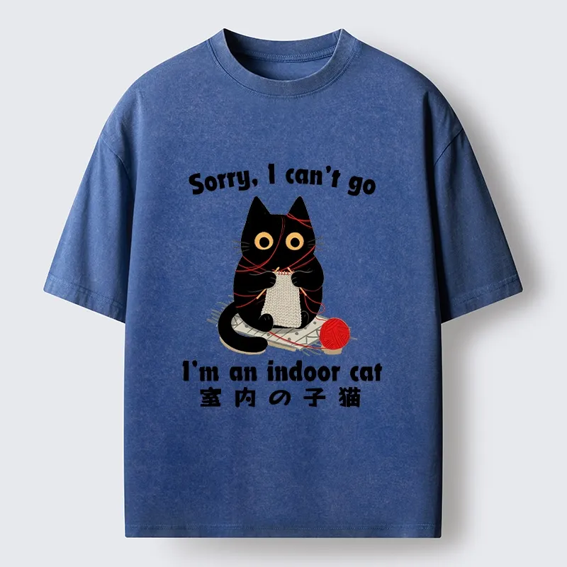 Tokyo‑Tiger Indoor Cat Meme Washed T‑Shirt