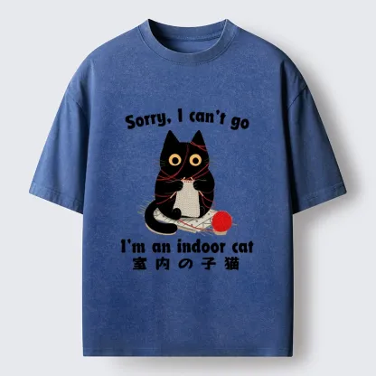 Tokyo‑Tiger Indoor Cat Meme Washed T‑Shirt