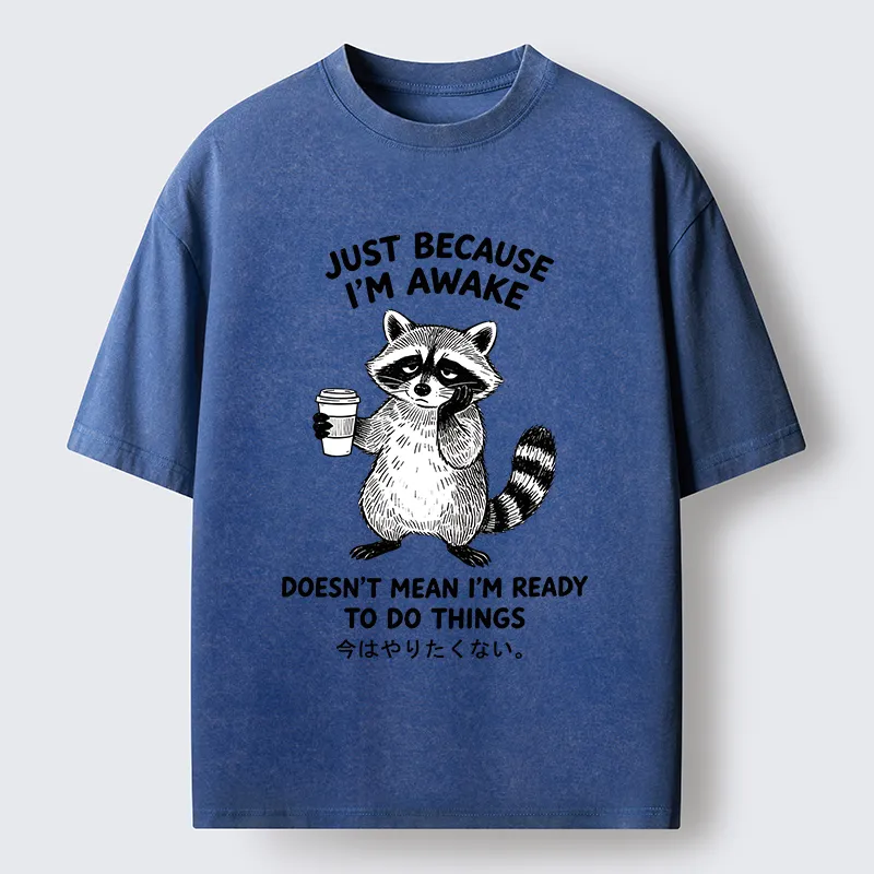 Tokyo-Tiger Tired Raccoon Coffee Washed T-Shirt