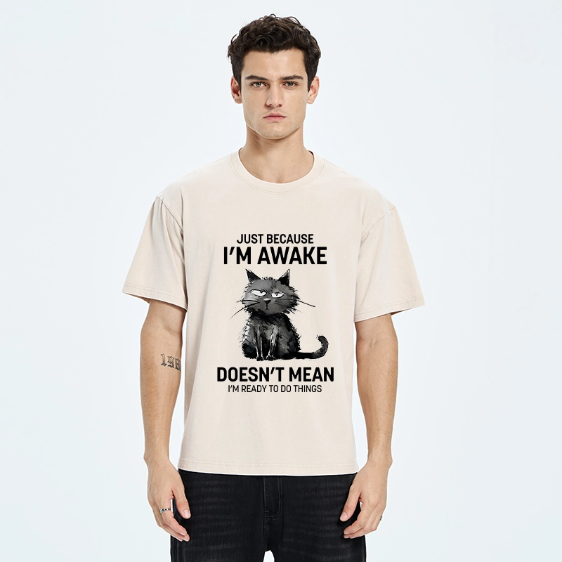 Tokyo-Tiger Grumpy Cat Not Ready To Do Things Washed T-Shirt