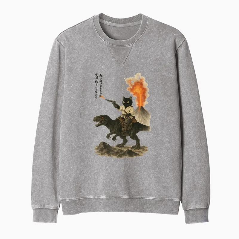 Tokyo-Tiger Cat Riding A Dinosaur Washed Terry Sweatshirt