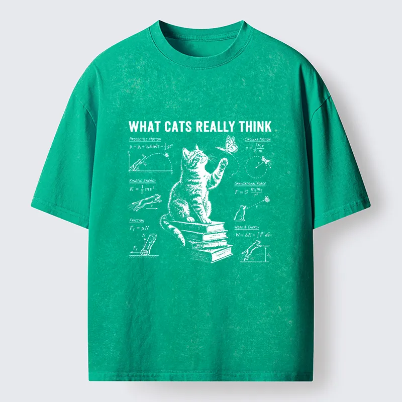 Tokyo-Tiger True Thoughts Of A Cat While Chasing Butterfly Washed T-Shirt