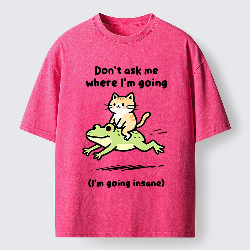 Tokyo‑Tiger Cat Riding Frog Meme Washed T-Shirt