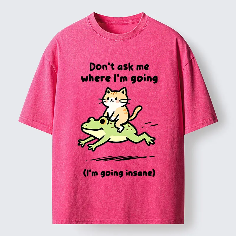 Tokyo‑Tiger Cat Riding Frog Meme Washed T-Shirt