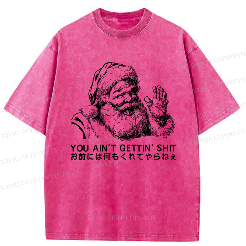 Tokyo-Tiger You Ain’t Gettin’ Anything Washed T-Shirt