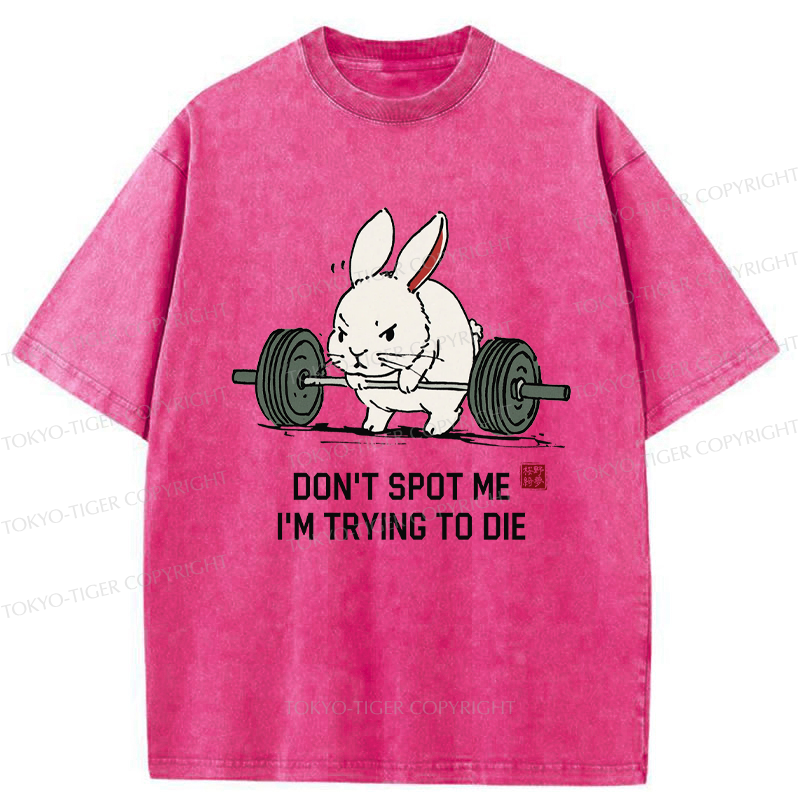 Tokyo-Tiger Determined Rabbit Gym Washed T-Shirt