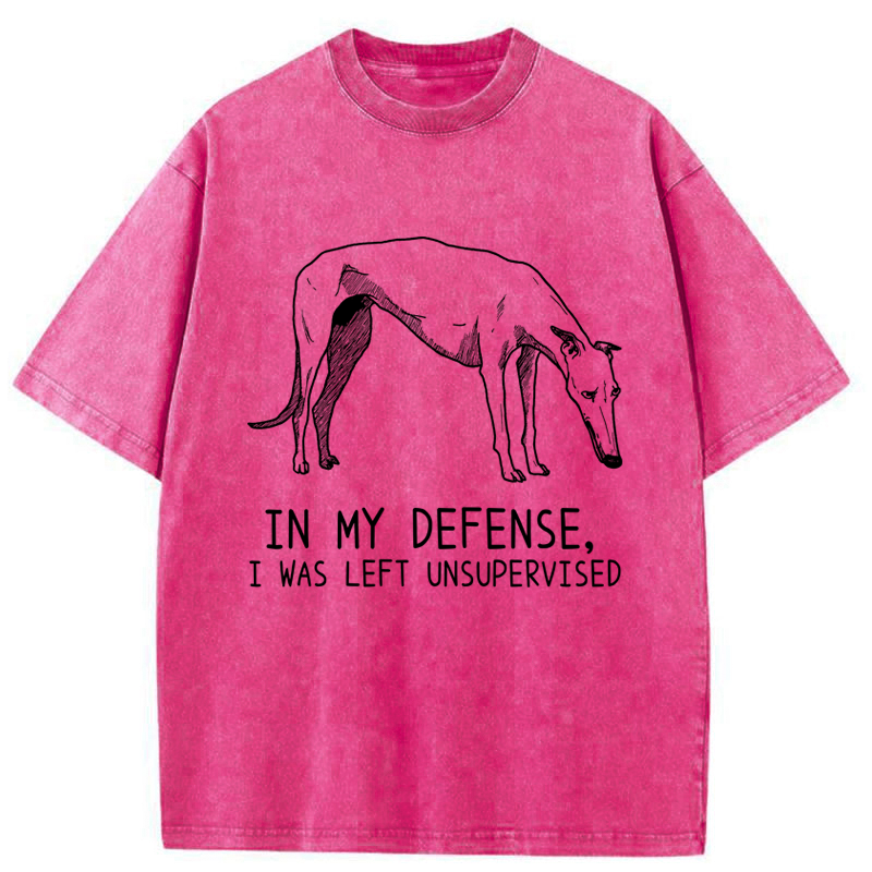 Tokyo-Tiger Unsupervised Doggo Washed T-Shirt