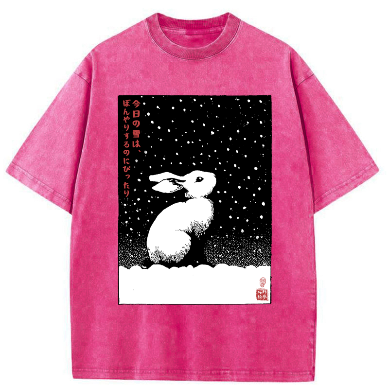 Tokyo-Tiger A Snowy Day to Daydream Washed T-Shirt