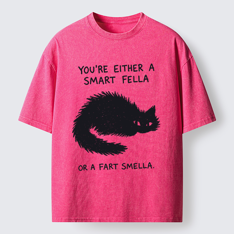 Tokyo-Tiger "Smart Fella" Punny Cat Washed T-Shirt