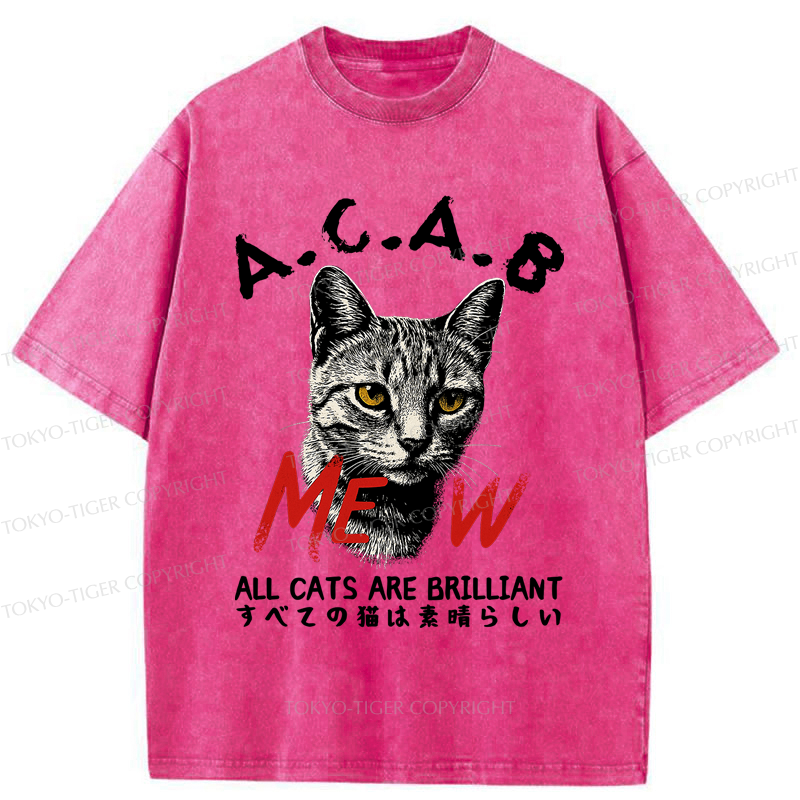 Tokyo-Tiger Funny All Cats Are Brilliant meme Washed T-Shirt
