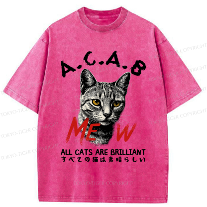 Tokyo-Tiger Funny All Cats Are Brilliant meme Washed T-Shirt