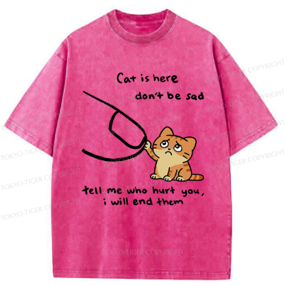 Tokyo-Tiger Tell Me Who Hurt You, The Cat Will End Them Washed T-Shirt