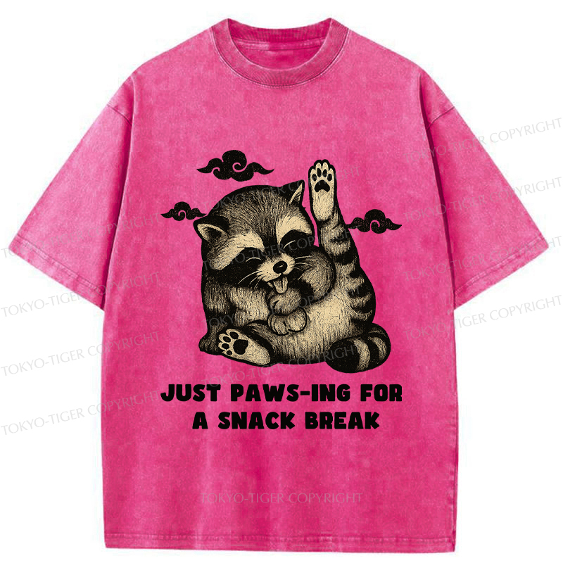 Tokyo-Tige An interesting Raccoon Washed T-Shirt