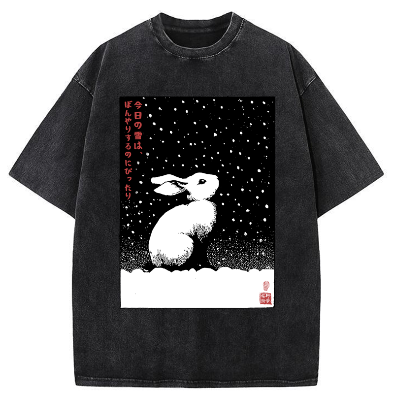 Tokyo-Tiger A Snowy Day to Daydream Washed T-Shirt