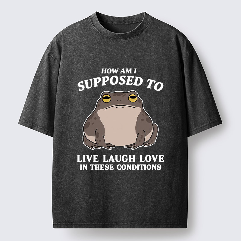 Tokyo-Tiger Frog Life Crisis Washed T-Shirt