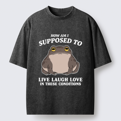 Tokyo-Tiger Frog Life Crisis Washed T-Shirt