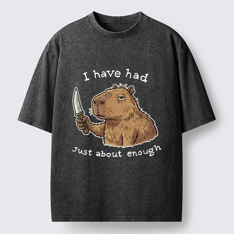 Tokyo-Tiger Mr. Nice Guy Had Enough Washed T-Shirt