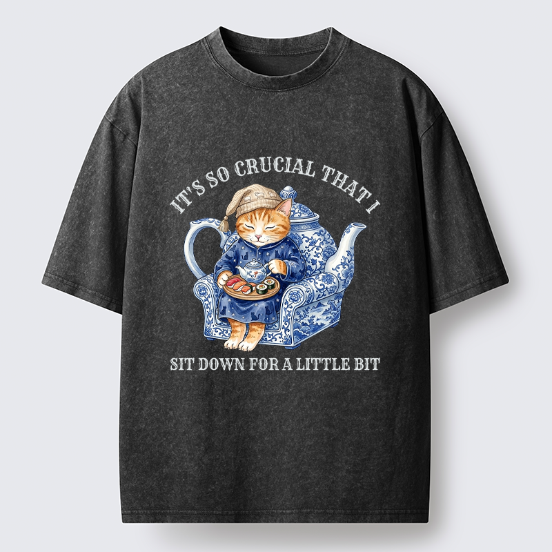 Tokyo-Tiger Teapot Nap Cat Washed T-Shirt
