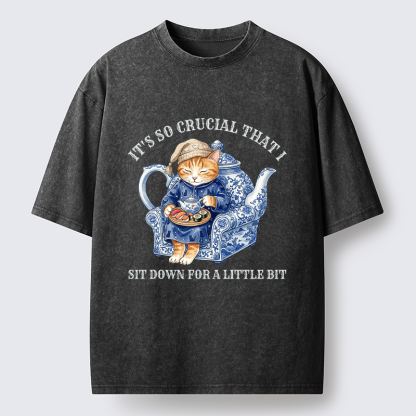 Tokyo-Tiger Teapot Nap Cat Washed T-Shirt