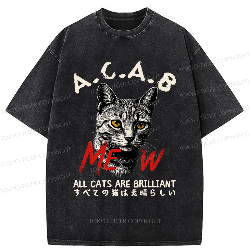 Tokyo-Tiger Funny All Cats Are Brilliant meme Washed T-Shirt