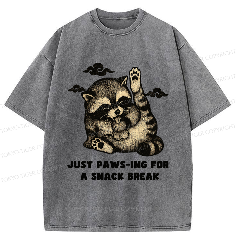 Tokyo-Tige An interesting Raccoon Washed T-Shirt