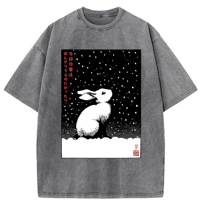 Tokyo-Tiger A Snowy Day to Daydream Washed T-Shirt