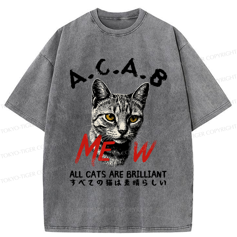 Tokyo-Tiger Funny All Cats Are Brilliant meme Washed T-Shirt