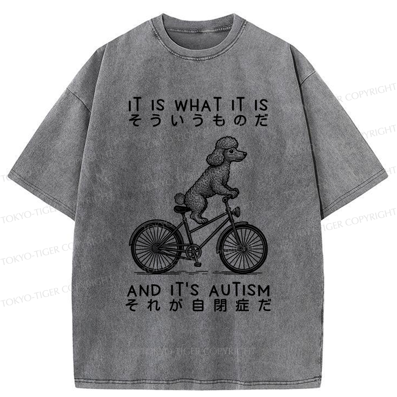 Tokyo-Tiger Cycling Dog Autism Awareness Washed T-Shirt