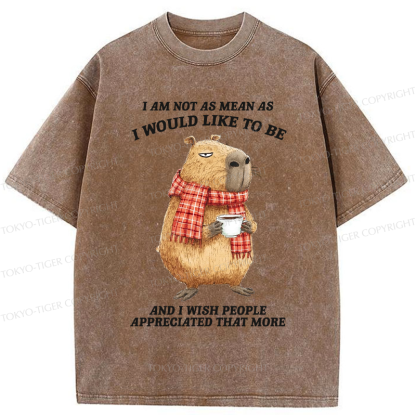 Tokyo-Tiger Playfully Mean Capy Washed T-Shirt