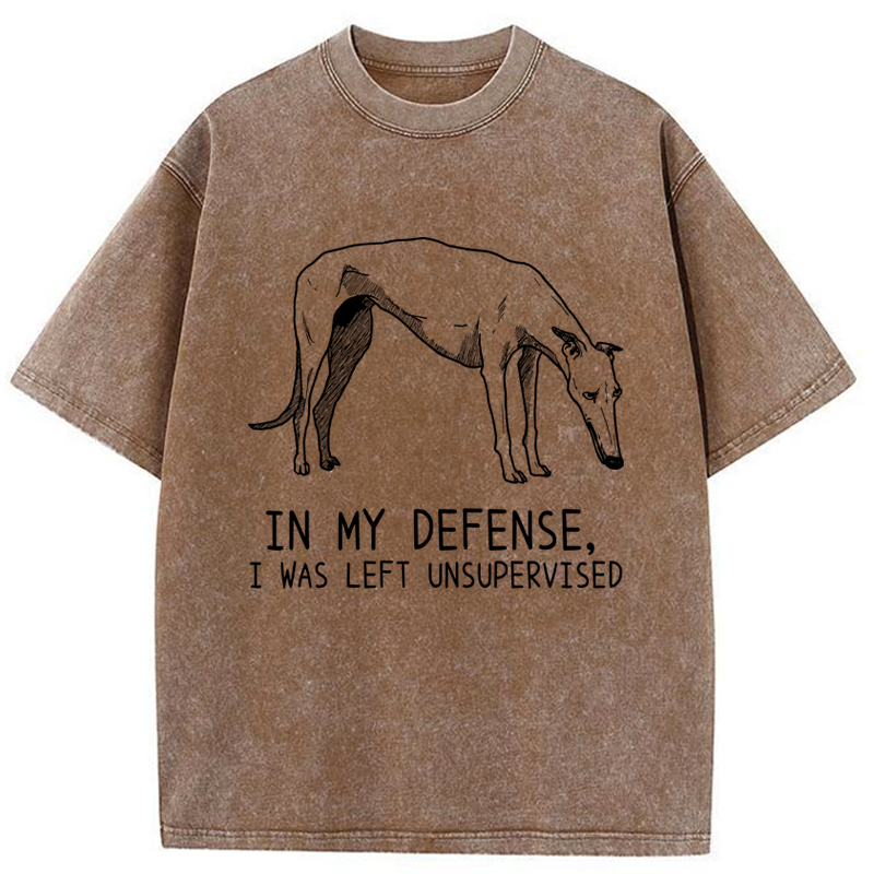 Tokyo-Tiger Unsupervised Doggo Washed T-Shirt