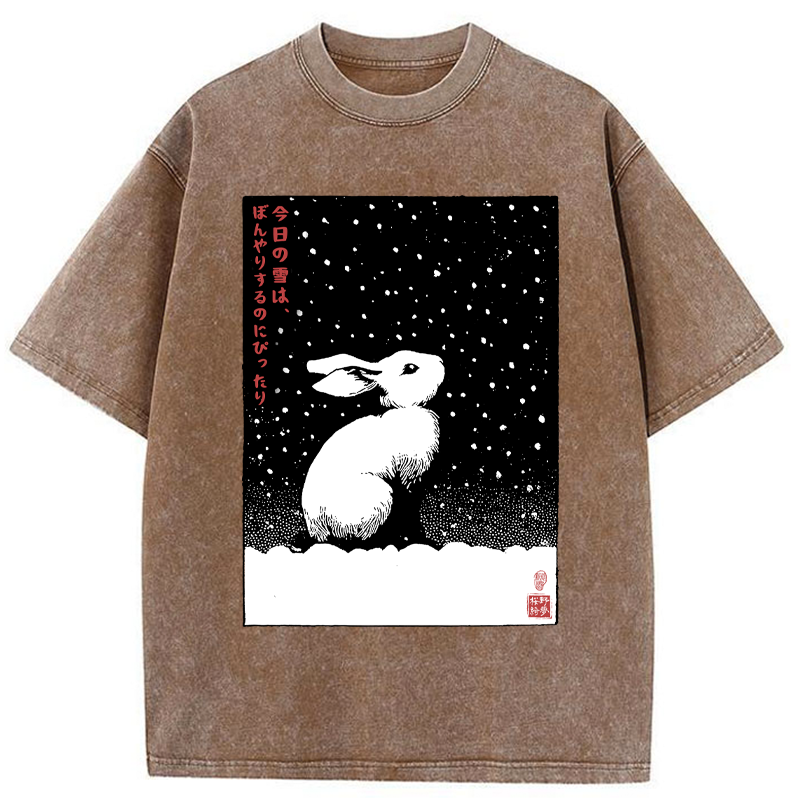 Tokyo-Tiger A Snowy Day to Daydream Washed T-Shirt