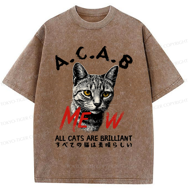 Tokyo-Tiger Funny All Cats Are Brilliant meme Washed T-Shirt