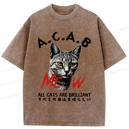 Tokyo-Tiger Funny All Cats Are Brilliant meme Washed T-Shirt