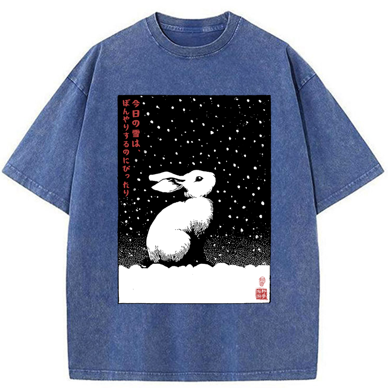 Tokyo-Tiger A Snowy Day to Daydream Washed T-Shirt