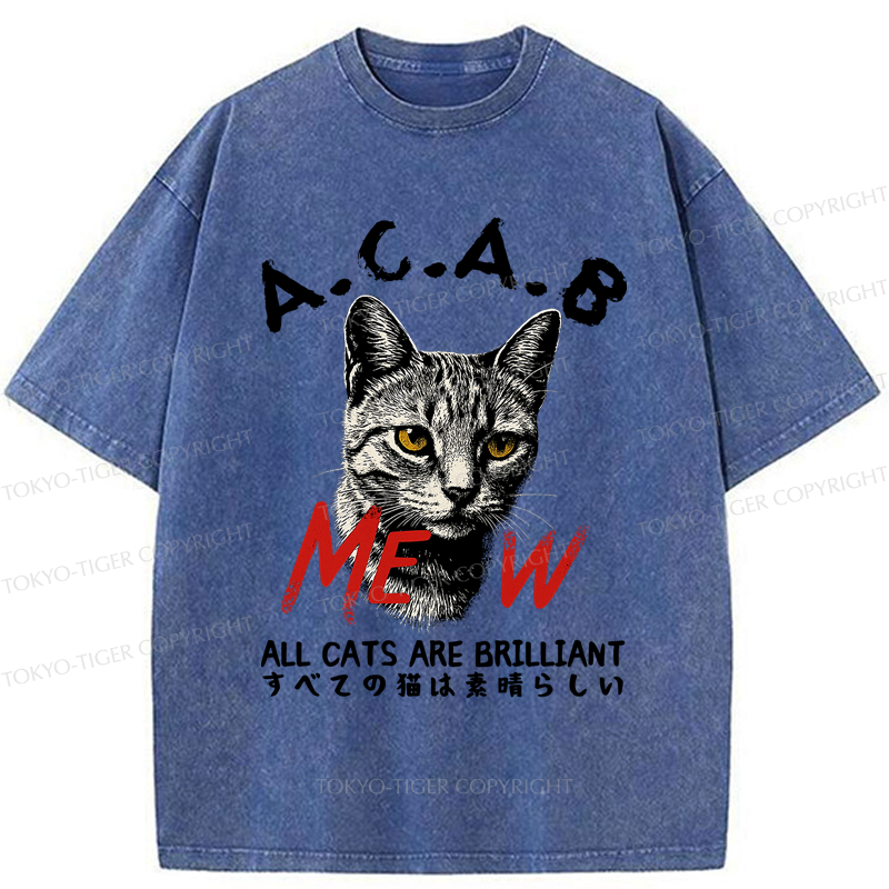Tokyo-Tiger Funny All Cats Are Brilliant meme Washed T-Shirt