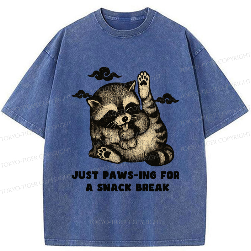 Tokyo-Tige An interesting Raccoon Washed T-Shirt