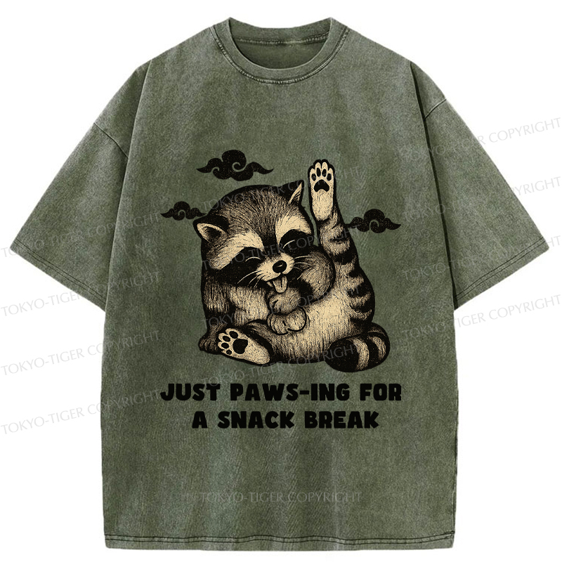 Tokyo-Tige An interesting Raccoon Washed T-Shirt