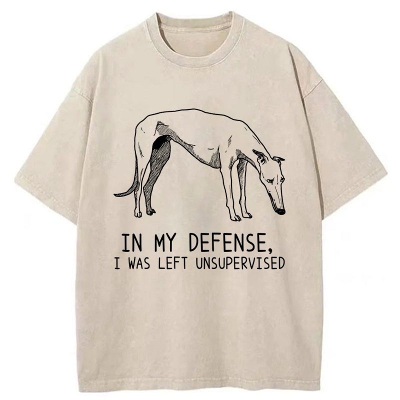 Tokyo-Tiger Unsupervised Doggo Washed T-Shirt